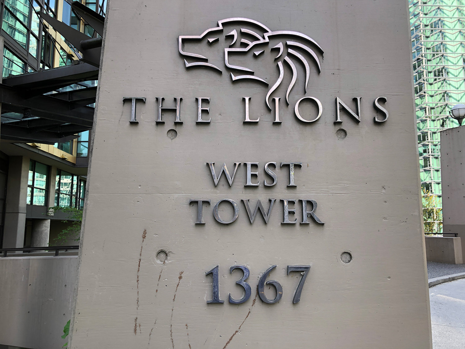 The Lions photo 25