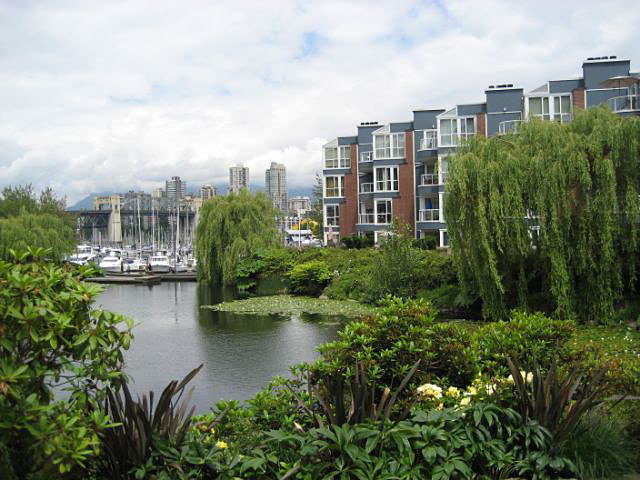 The Lagoons photo 5