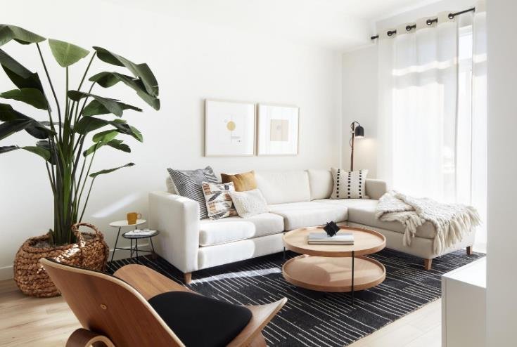 Aalto Townhomes photo 7