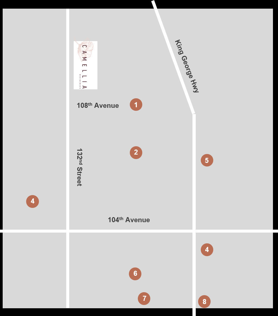 Camellia Residences location map 1