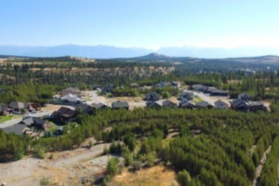 Forest Crowne photo 4