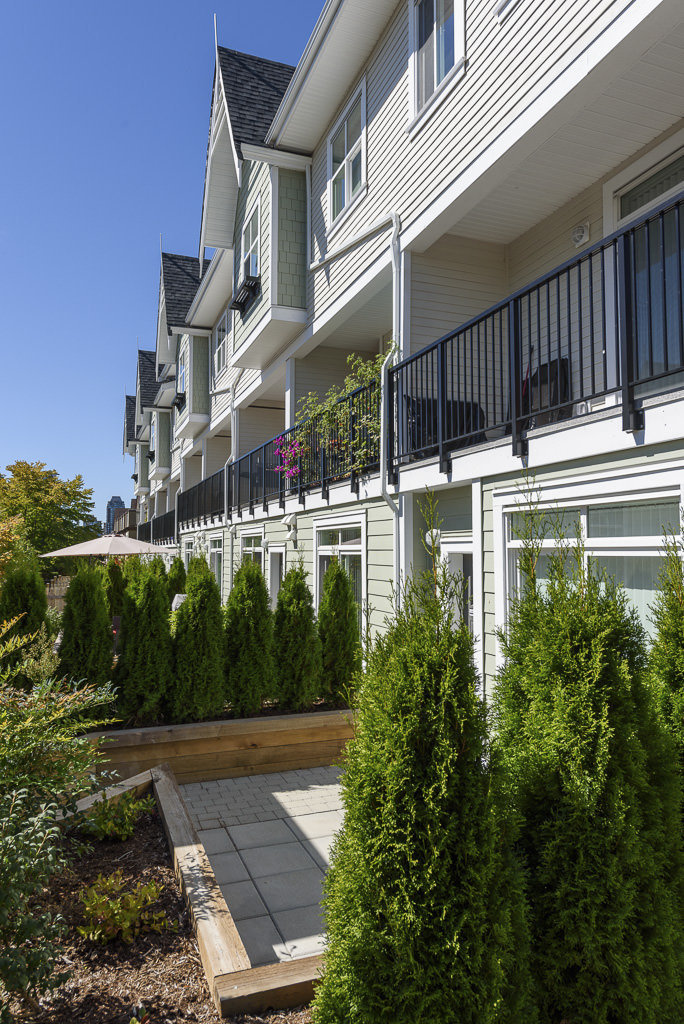 Ivory Mews photo 8