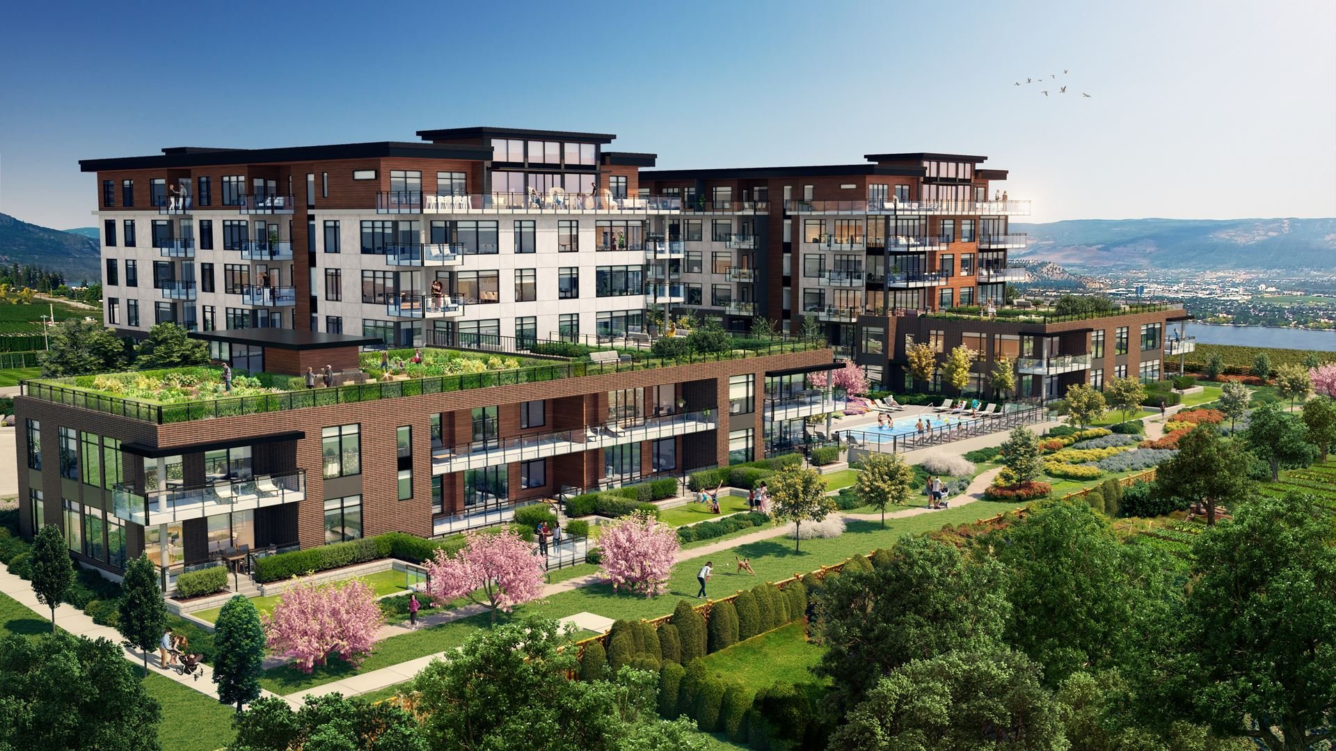 The Residences at Lakeview Village photo 3