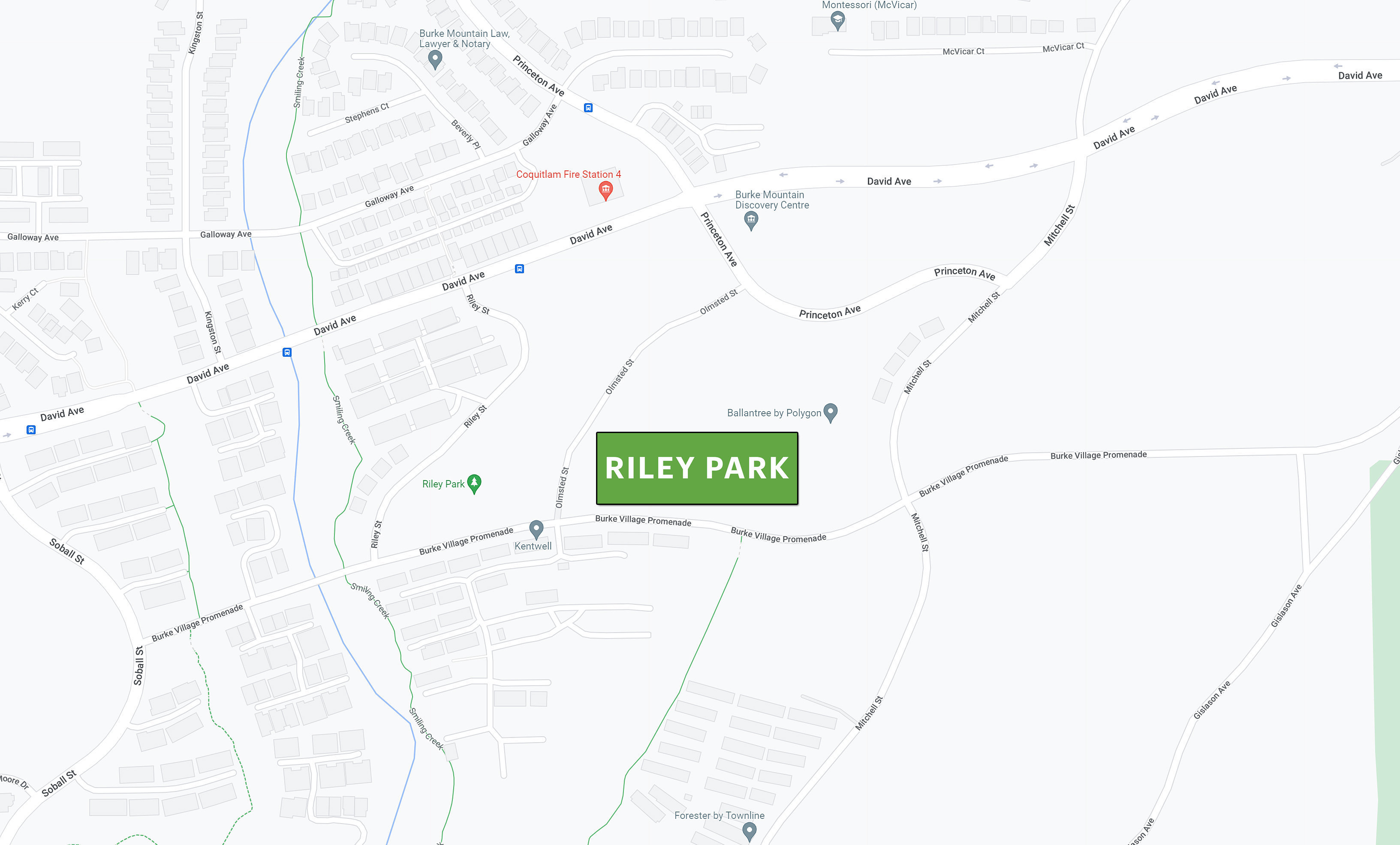Riley Park location map 1