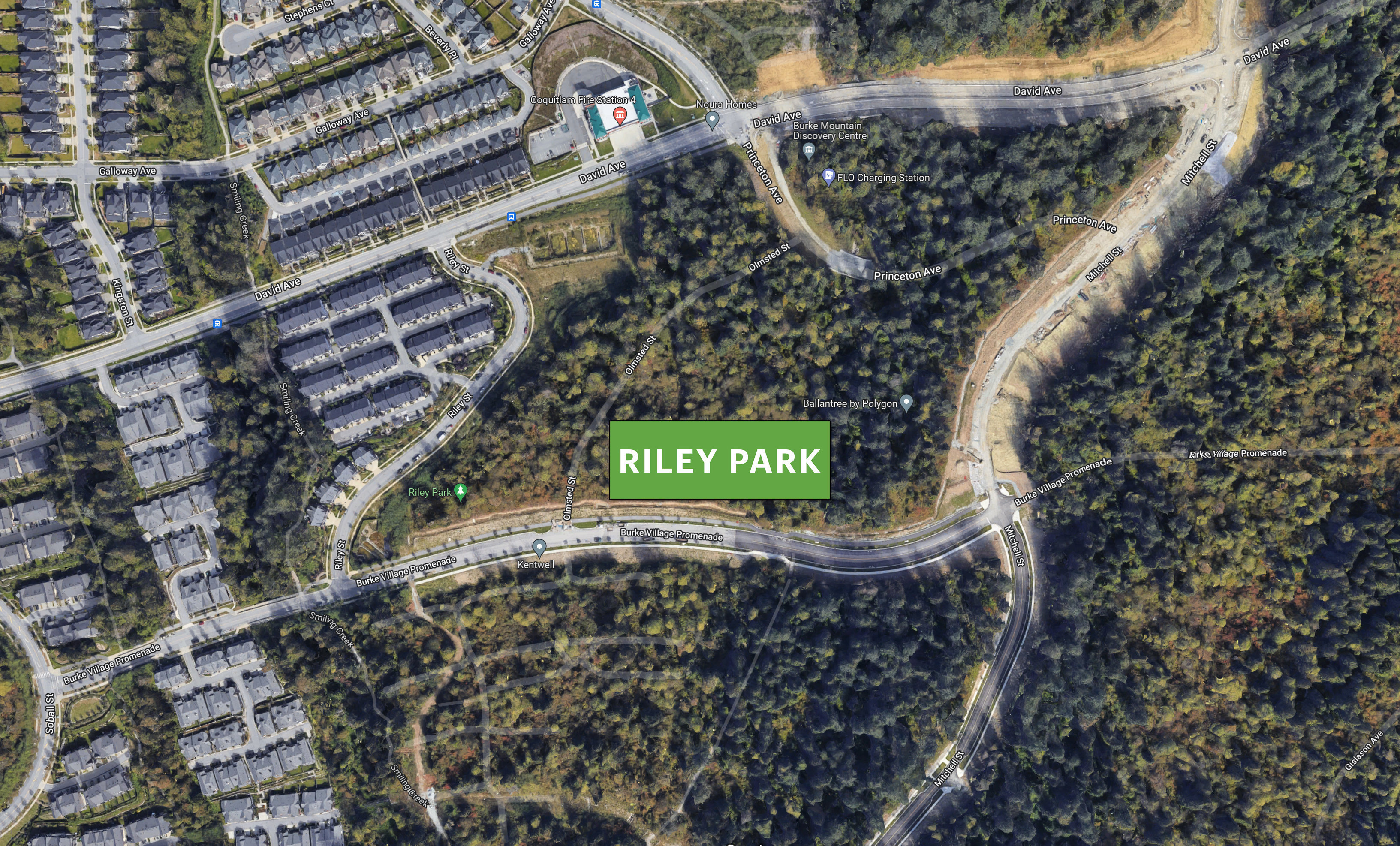 Riley Park location map 2