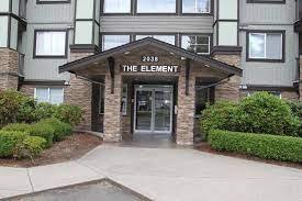 The Element photo 2