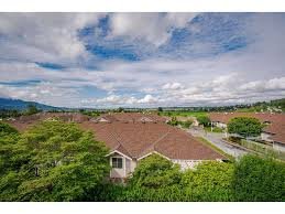 Belmont Ridge photo 7