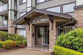 The Element photo 5