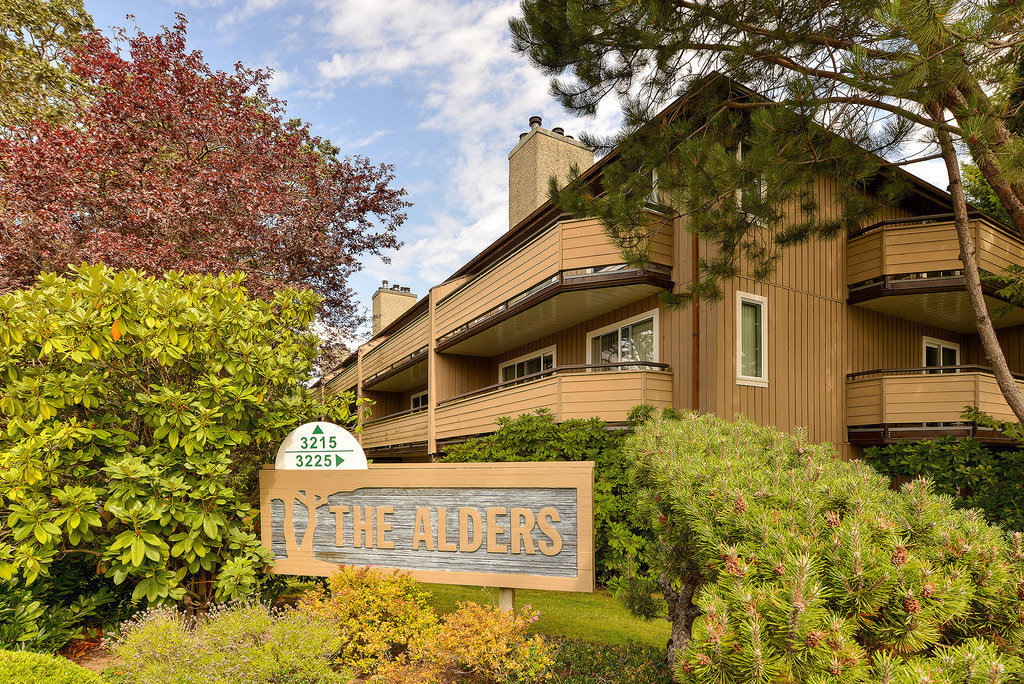 The Alders photo 2