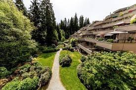 Mountain Terrace photo 8