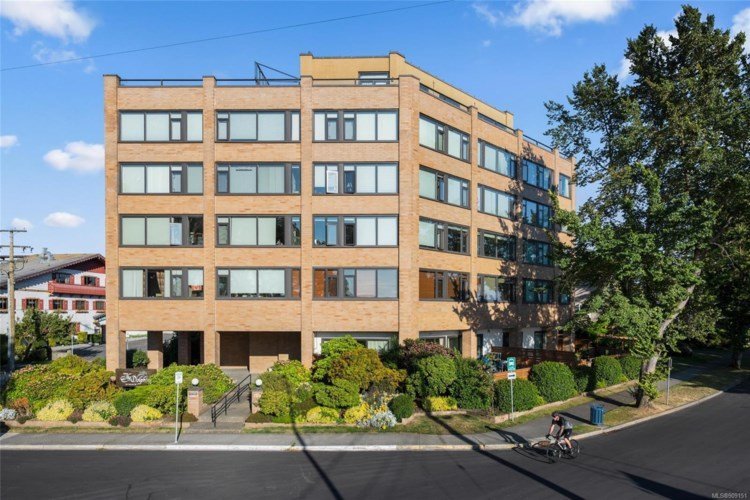 Photo 2 The Dolphins photo 2