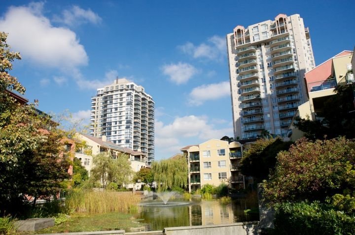 Laguna Landing photo 8