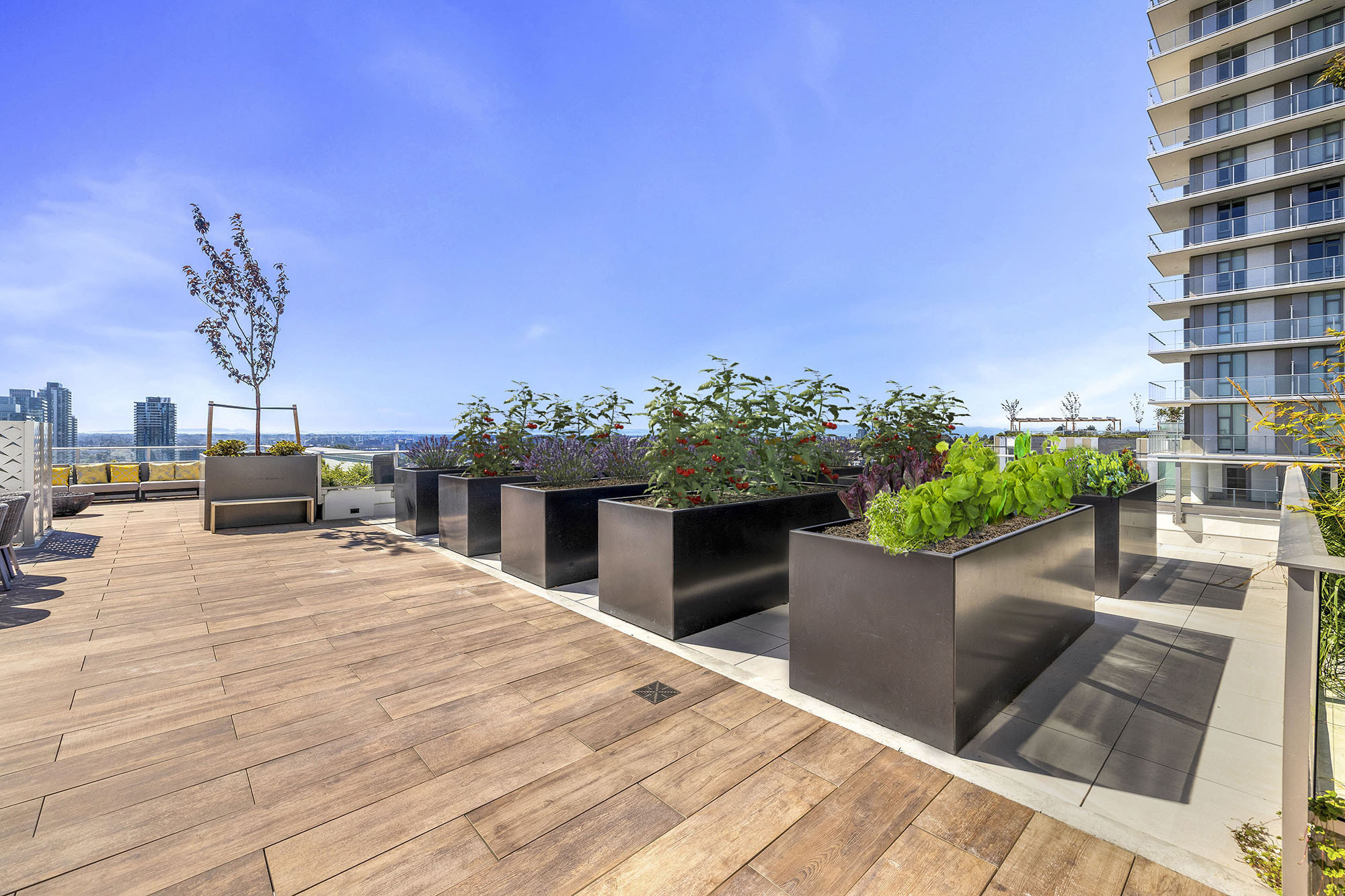 Photo 14 Cambie Gardens - Phase 1 (West Tower) photo 14