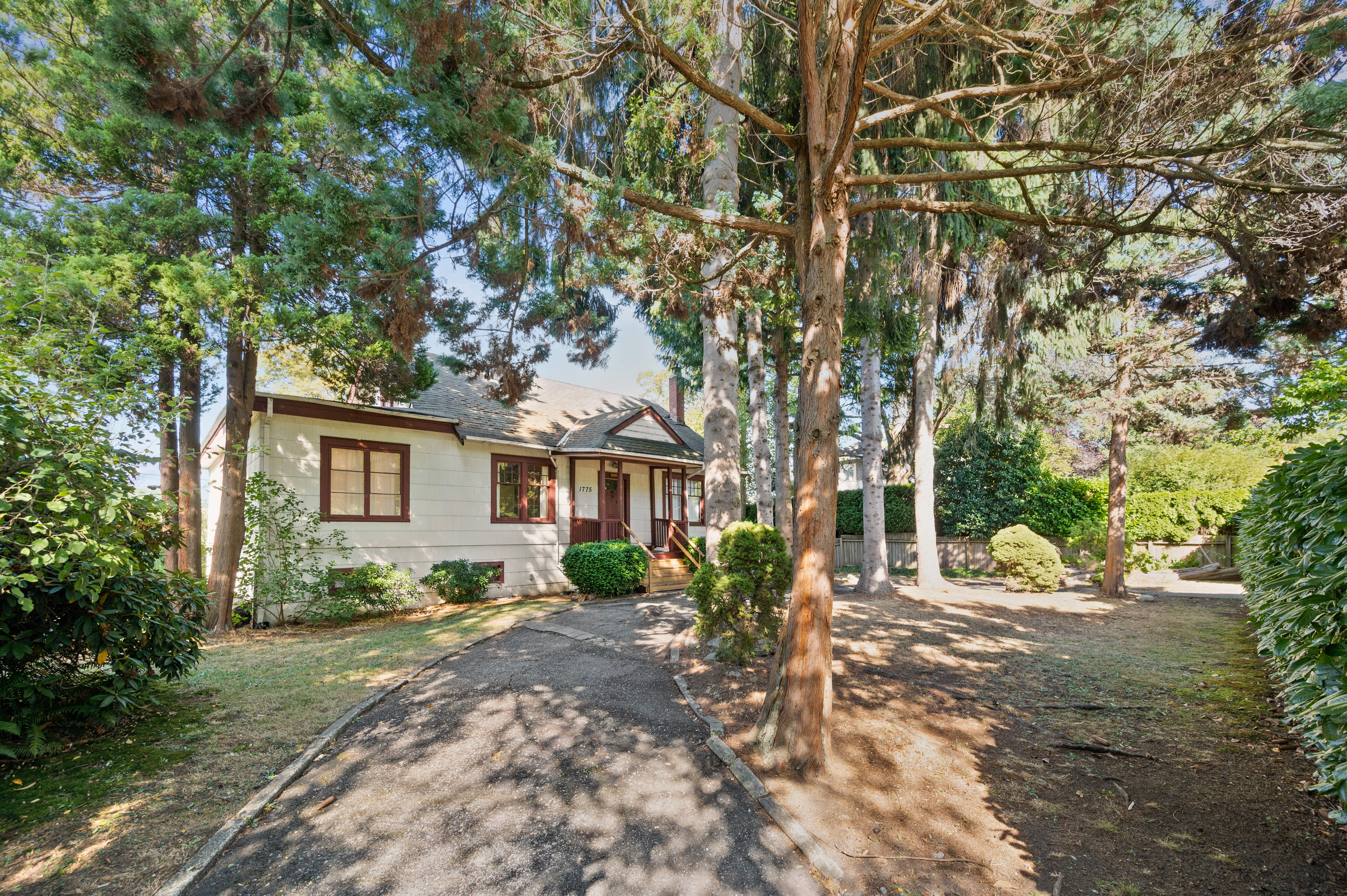 Photo 7 1775 Cedar photo 7