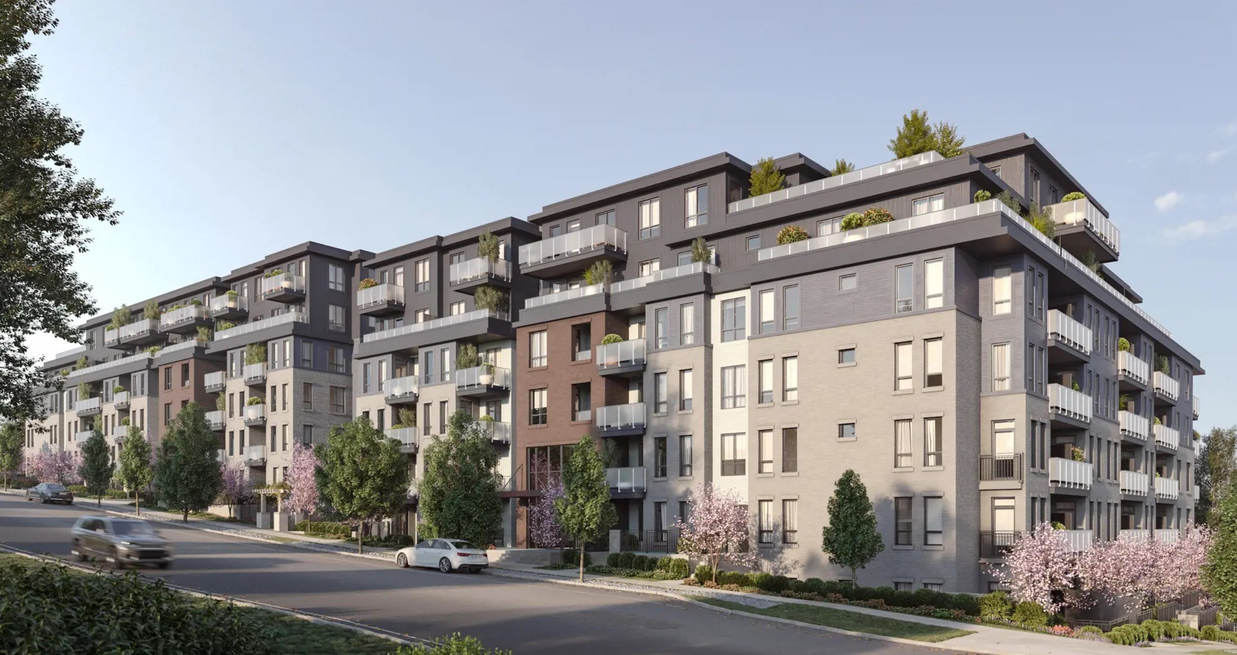 Luxora by Pacific New Homes photo 4
