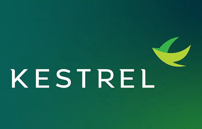 Kestrel