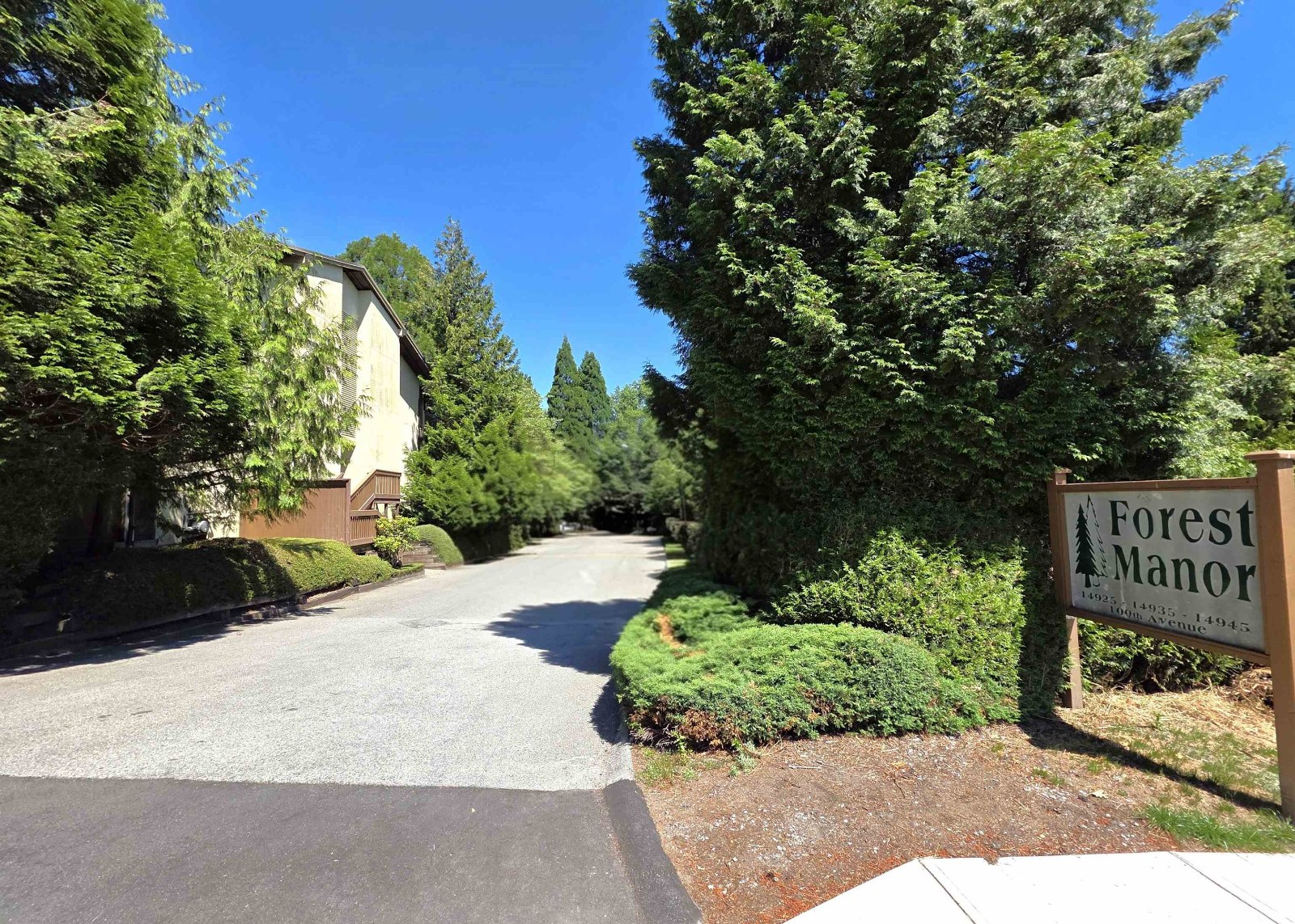 Forest Manor