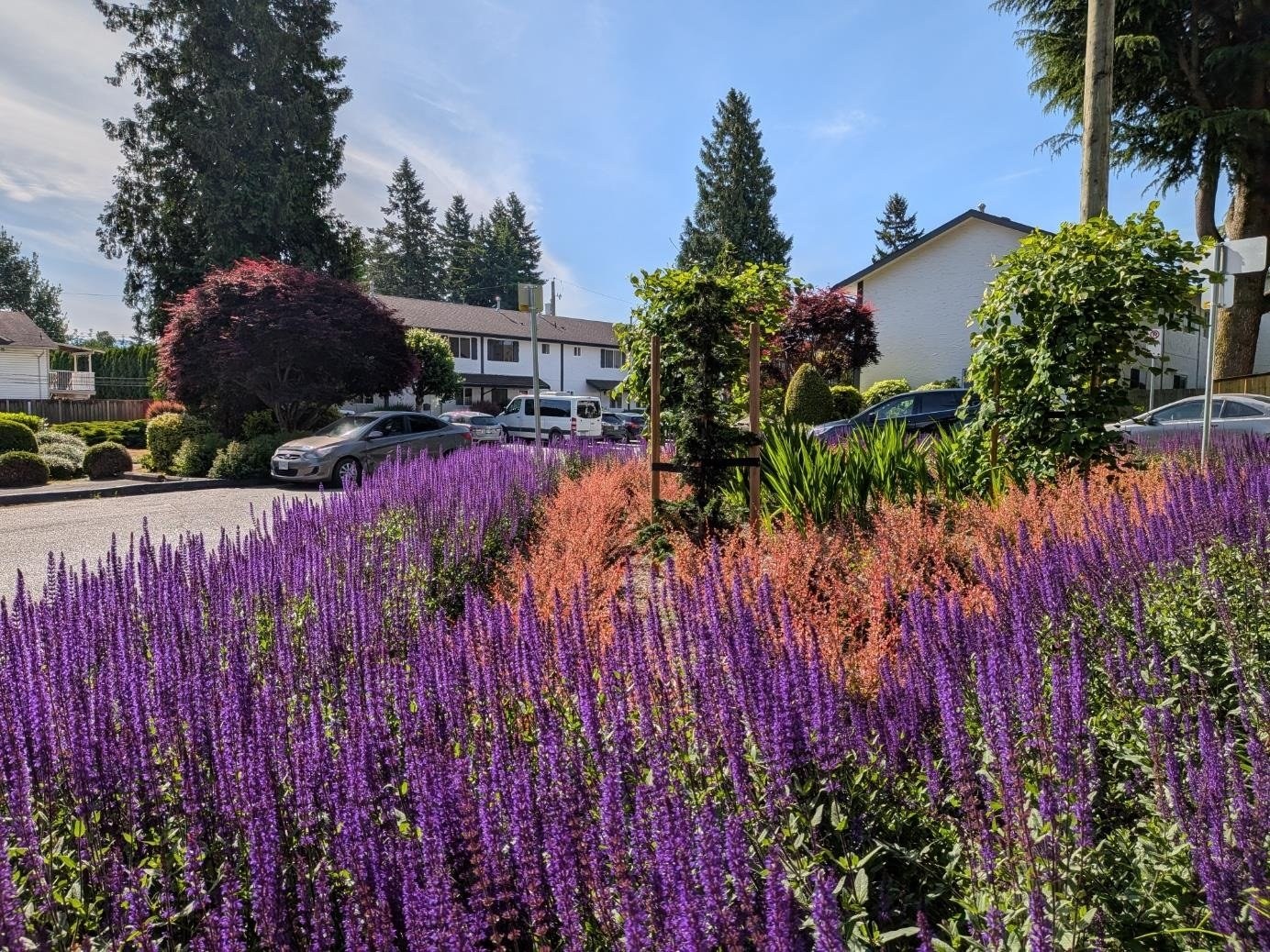 Bevan Gardens