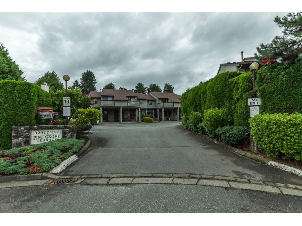 Pine Grove Terrace